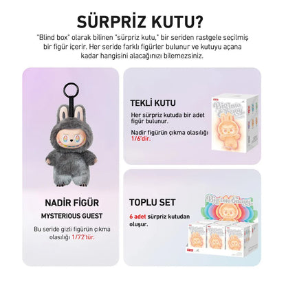 Pop Mart The Monsters Bıg Into Energy Sürpriz Kutu Serisi